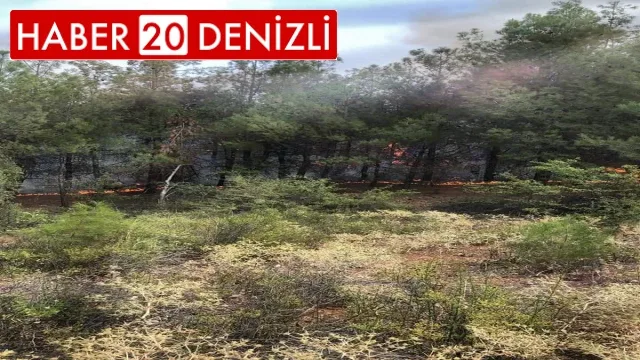 Orman işçisi müdahale ettiği yangında zehirlendi