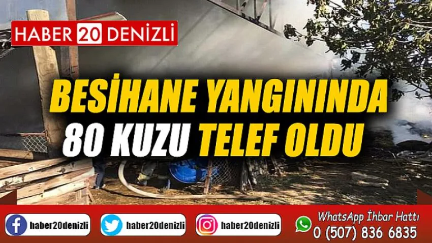 Besihane yangınında 80 kuzu telef oldu