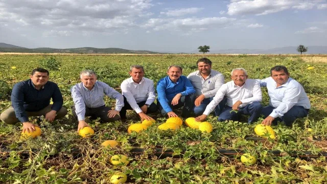 Asırlık miras Acıpayam kavunu tescillendi
