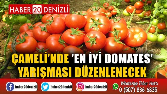 Çameli’nde 'En iyi domates' yarışması düzenlenecek