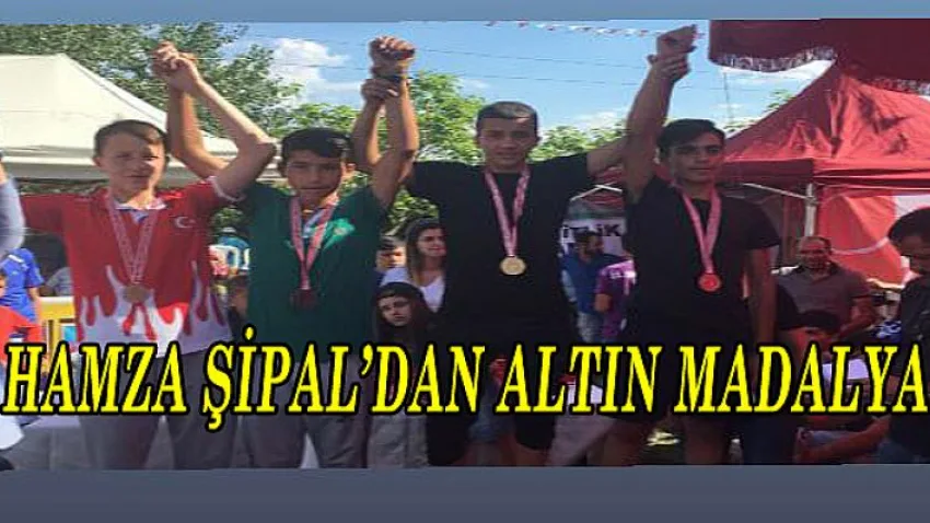 Hamza Şipal'dan Altın Madalya
