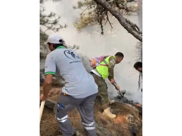 Denizli'deki orman yangınını söndürmek için vatandaşlar seferber oldu