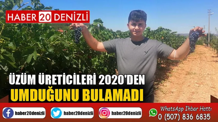 Üzüm üreticileri 2020'den umduğunu bulamadı