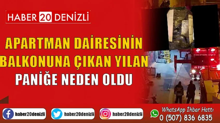 Apartman dairesinin balkonuna çıkan yılan paniğe neden oldu