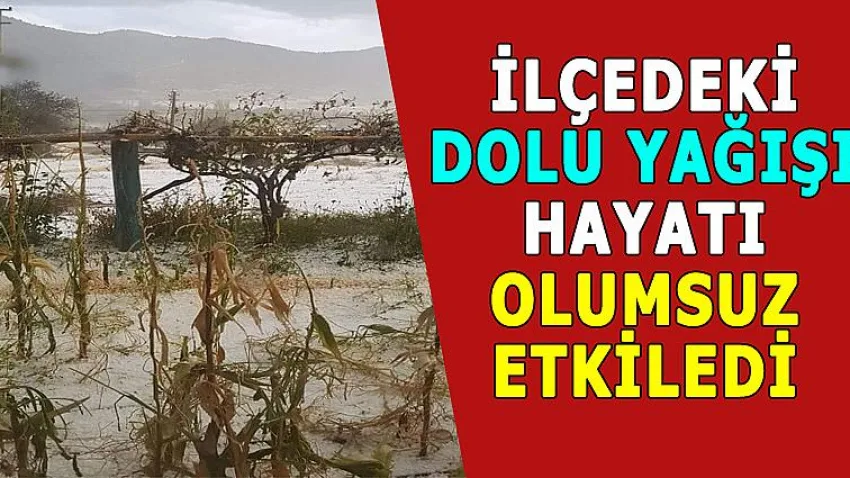 İlçedeki Dolu Yağışı Hayatı Olumsuz Etkiledi