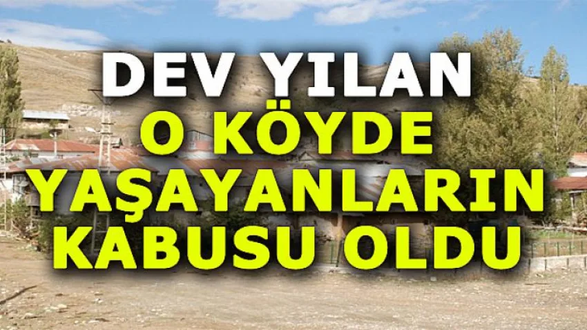 Dev Yılan O Köyde Yaşayanların Kabusu Oldu
