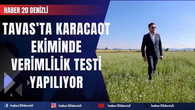 Tavas’ta karacaot ekiminde verimlilik testi yapılıyor