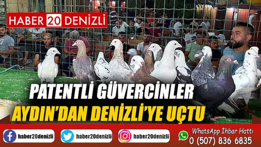 Patentli güvercinler Aydın’dan Denizli’ye uçtu