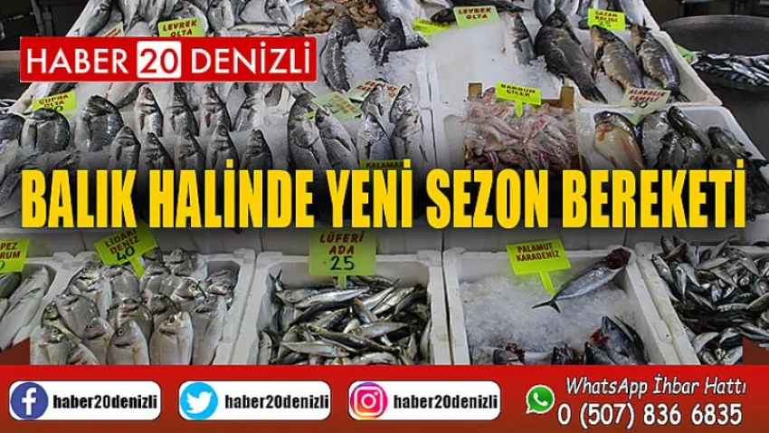 Balık halinde yeni sezon bereketi