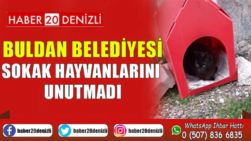 Buldan Belediyesi, Sokak hayvanlarını unutmadı