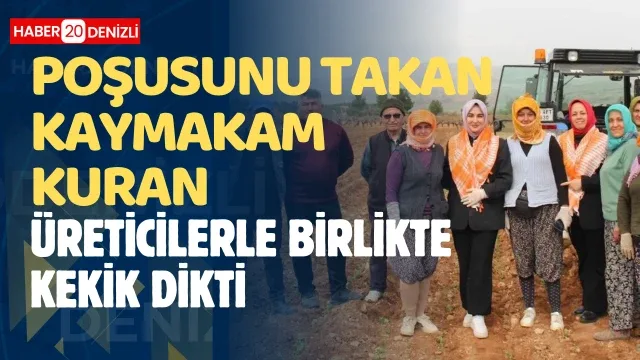 Poşusunu takan Kaymakam Kuran üreticilerle birlikte kekik dikti
