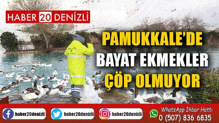 Pamukkale’de Bayat Ekmekler Çöp Olmuyor