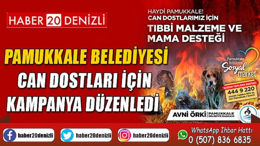 Pamukkale Belediyesi Can Dostları için Kampanya Düzenledi