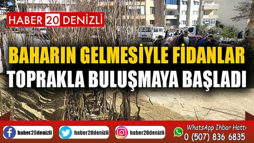Baharın gelmesiyle fidanlar toprakla buluşmaya başladı