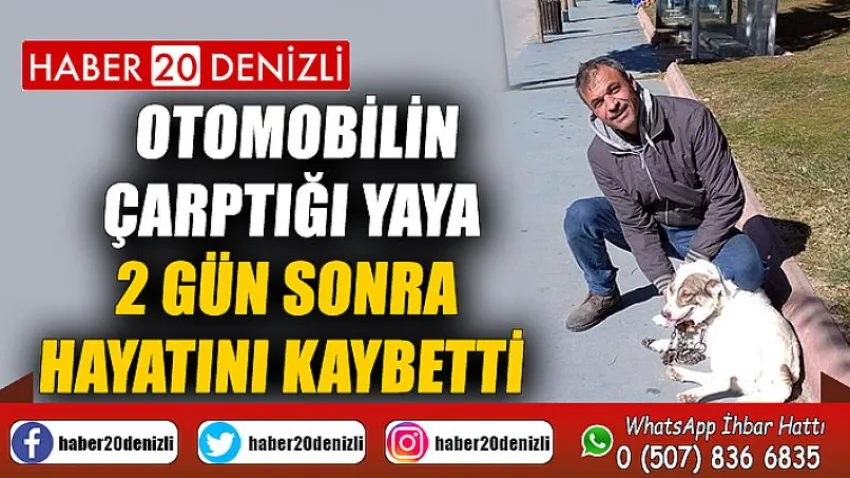 Otomobilin çarptığı yaya 2 gün sonra hayatını kaybetti
