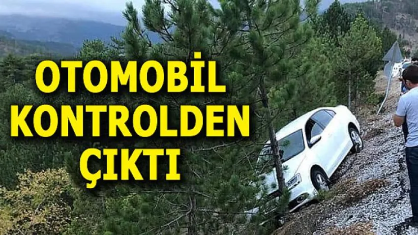Otomobil Kontrolden Çıktı