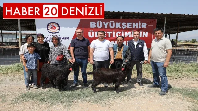 Denizli’de 489 üreticiye 978 adet damızlık koç ve teke hibe edildi