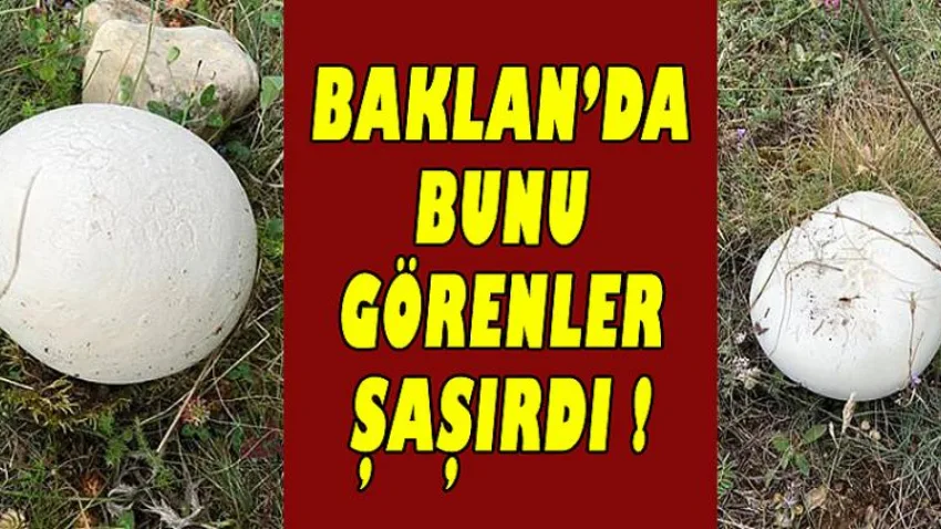 Baklan’da Bunu Görenler Şaşırdı