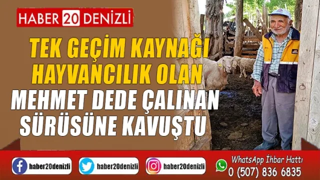 Tek geçim kaynağı hayvancılık olan Mehmet Dede çalınan sürüsüne kavuştu