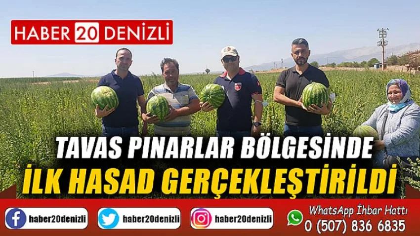 Tavas Pınarlar Bölgesinde İlk Hasad Gerçekleştirildi