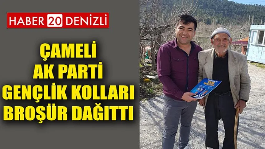 Çameli AK Parti Gençlik Kolları Broşür Dağıttı