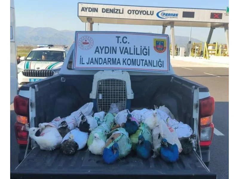 Otobüs bagajından hayvanat bahçesine
