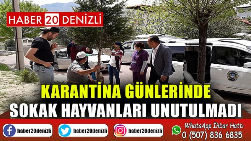 Karantina günlerinde sokak hayvanları unutulmadı