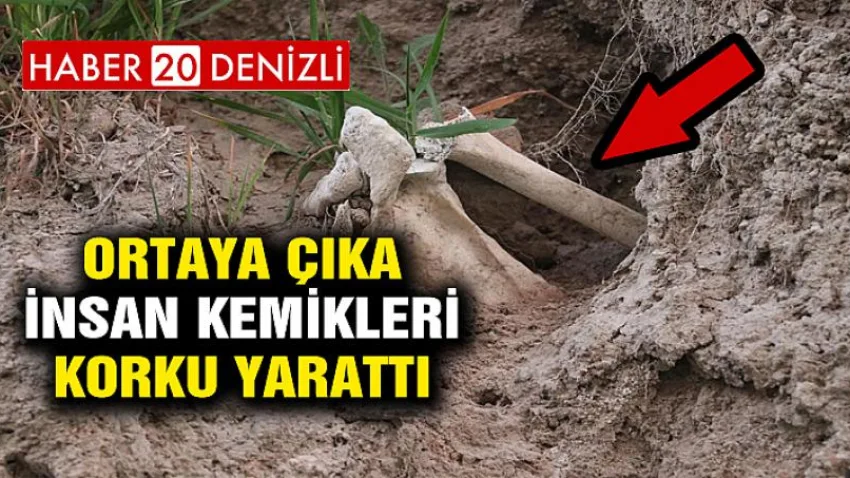 Ortaya Çıkan İnsan Kemikleri Korku Yarattı