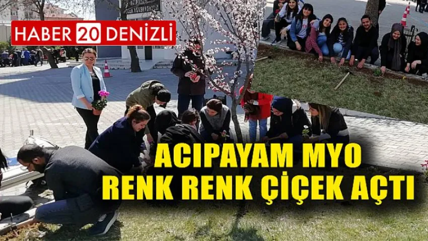 Acıpayam MYO Renk Renk Çiçek Açtı