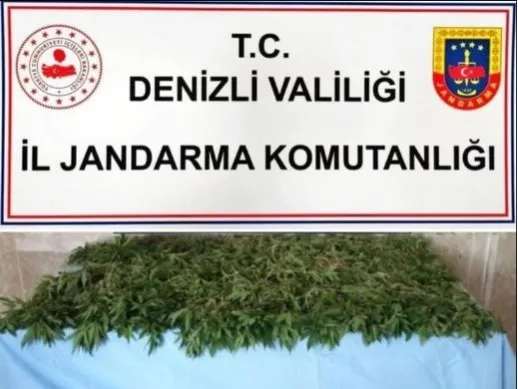 Jandarma 7 ilçede zehir tacirlerine operasyon düzenledi
