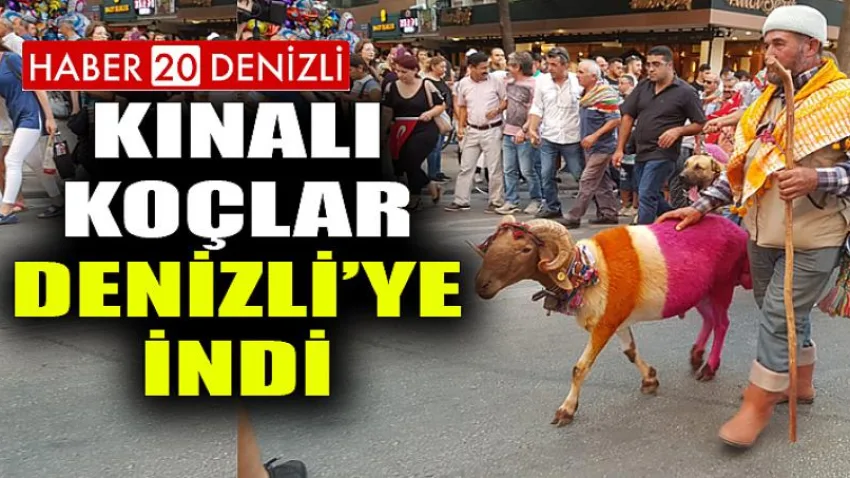 Kınalı Koçlar Denizli'ye İndi