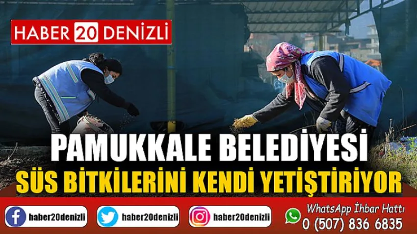 Pamukkale Belediyesi Süs Bitkilerini Kendi Yetiştiriyor
