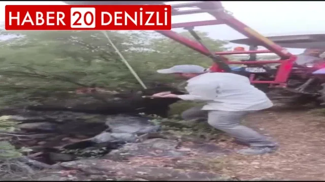 Kuyuya düşen keçi kepçeyle kurtarıldı