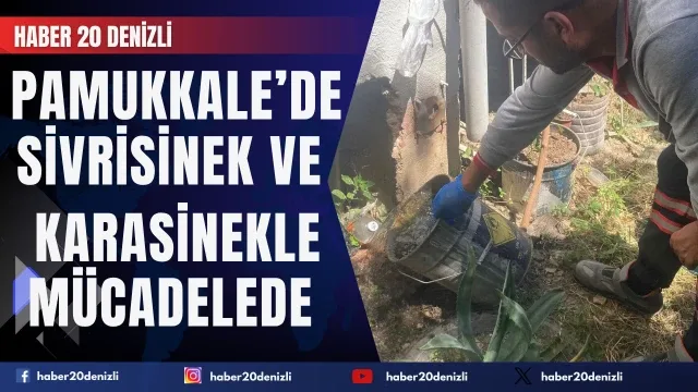 Pamukkale’de Sivrisinek ve Karasinekle Mücadelede Vatandaş Desteği Önemli