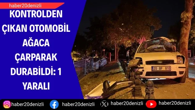 Kontrolden çıkan otomobil ağaca çarparak durabildi: 1 yaralı