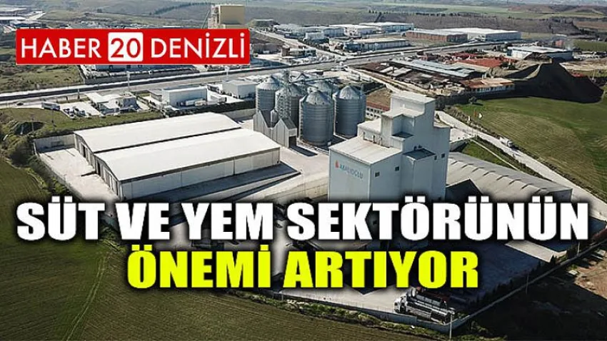 Süt ve Yem Sektörünün Önemi Artıyor