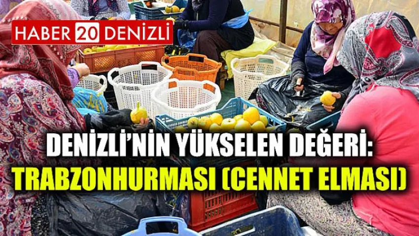 Denizli’nin Yükselen Değeri: Trabzonhurması(Cennet Elması)