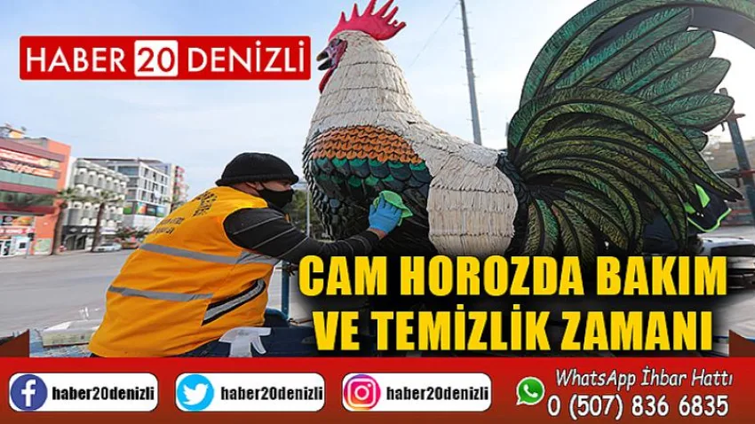Cam horozda bakım ve temizlik zamanı