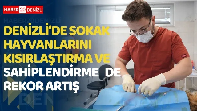 Denizli’de sokak hayvanlarını kısırlaştırma ve sahiplendirmede rekor artış