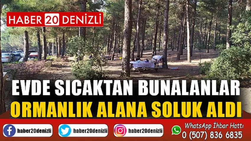 Evde sıcaktan bunalanlar, ormanlık alana soluk aldı