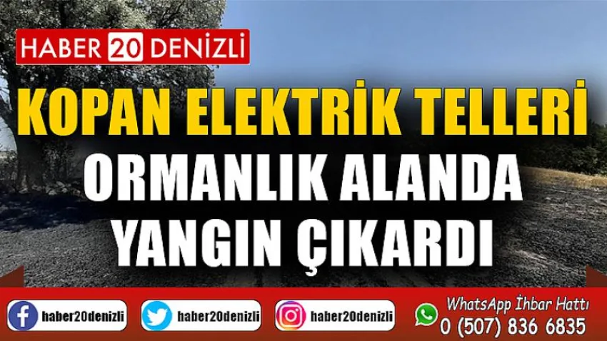 Kopan elektrik telleri ormanlık alanda yangın çıkardı