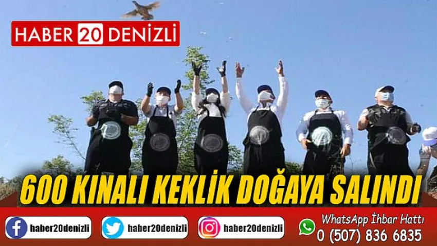 600 kınalı keklik doğaya salındı
