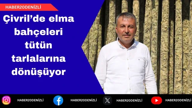 Çivril’de elma bahçeleri tütün tarlalarına dönüşüyor