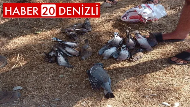 Kaçak avcılara göz açtırılmıyor