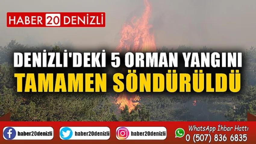 Denizli'deki 5 orman yangını tamamen söndürüldü