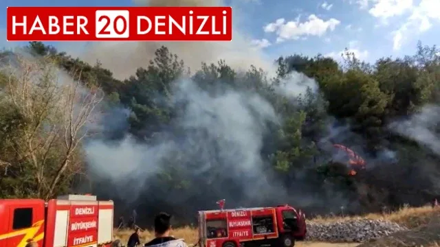 Denizli’de yerleşim yerine yakın noktada orman yangını başladı