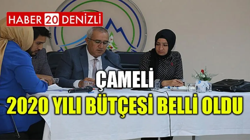 Çameli 2020 Yılı Bütçesi Belli Oldu