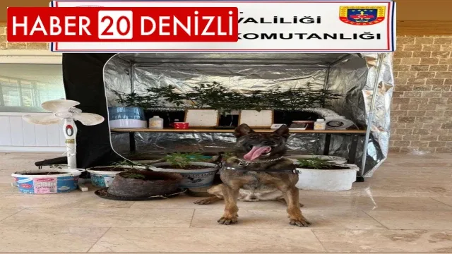 Denizli’de uyuşturucu imalathanesine operasyon