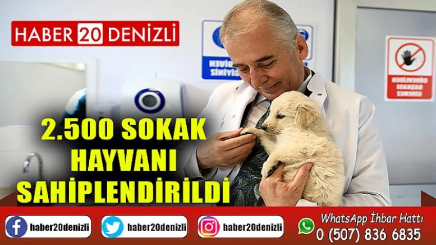 2.500 sokak hayvanı sahiplendirildi