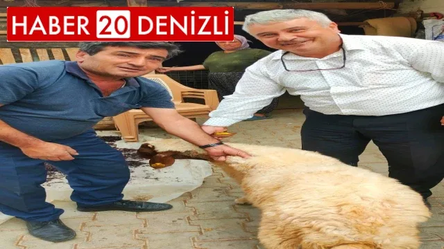 Sürüden kopan koyunu tarım görevlileri buldu